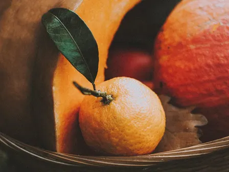Autumn produce and harvest display in a country garden