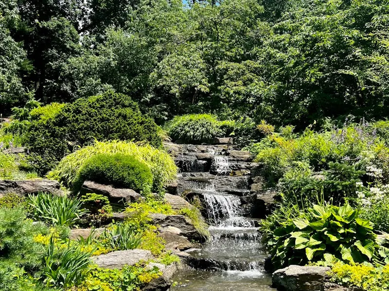 Botanical garden glasshouse with tropical planting